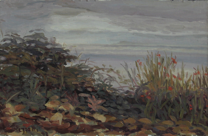 Peinture, Artiste-peintre, Océan et bord de falaise