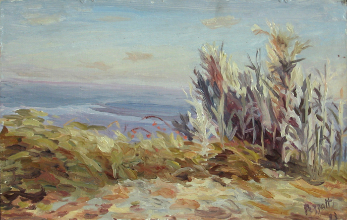 Peinture, Artiste-peintre, Ocean et bord de falaise 2